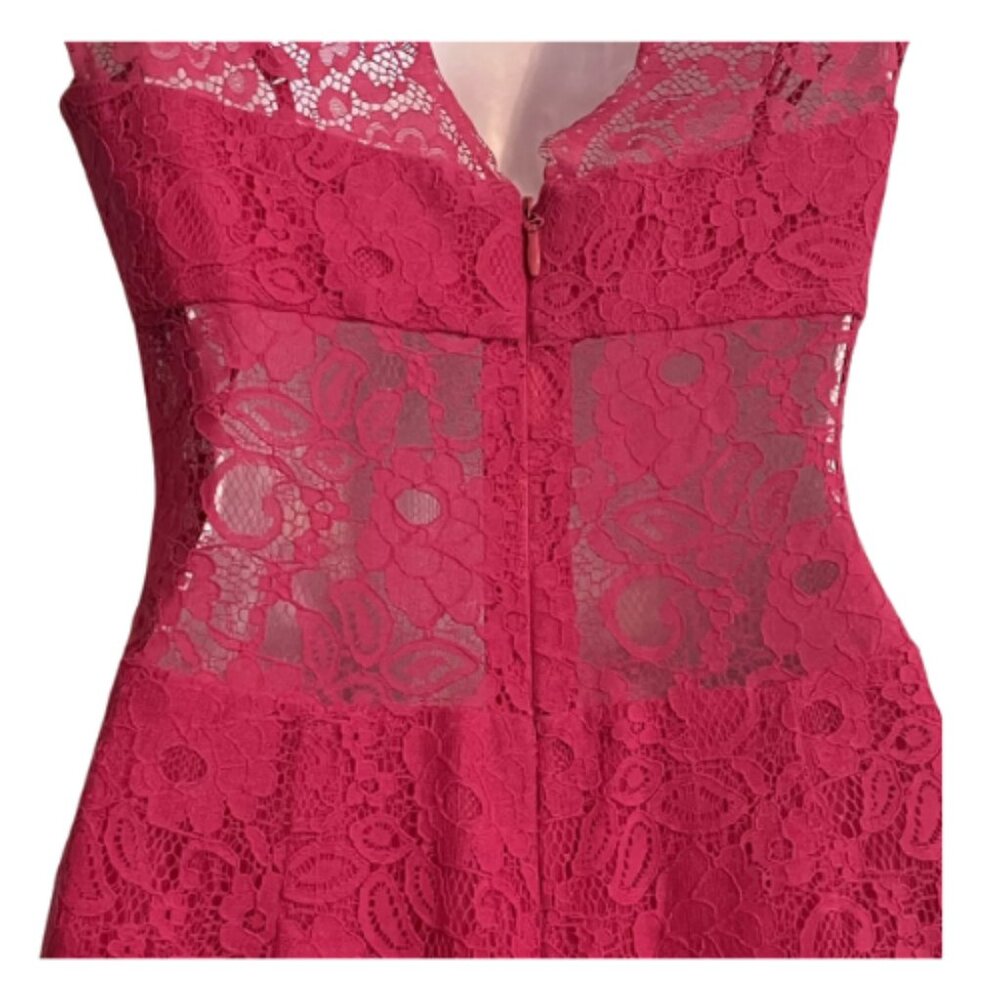 BCBG Max Azria Devom Begonia Pink Lace Overlay Sheer Lace Midriff Sleeves - Picture 7 of 11